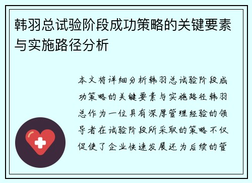 韩羽总试验阶段成功策略的关键要素与实施路径分析
