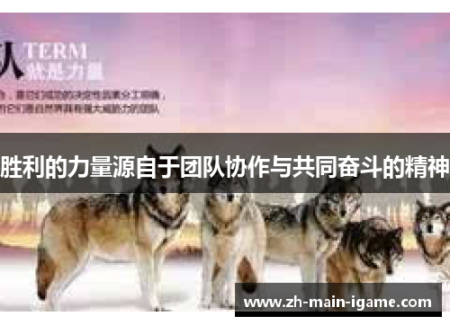 胜利的力量源自于团队协作与共同奋斗的精神