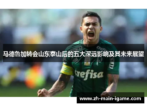 马德鲁加转会山东泰山后的五大深远影响及其未来展望 马德鲁加转会山东泰山后的五大深远影响及其未来展望