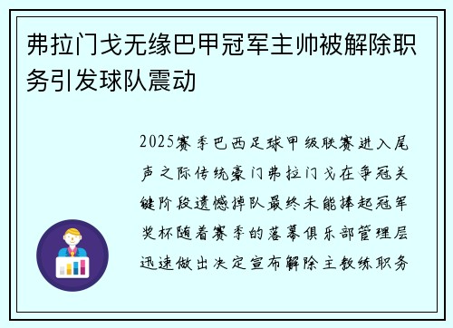 弗拉门戈无缘巴甲冠军主帅被解除职务引发球队震动 弗拉门戈无缘巴甲冠军主帅被解除职务引发球队震动